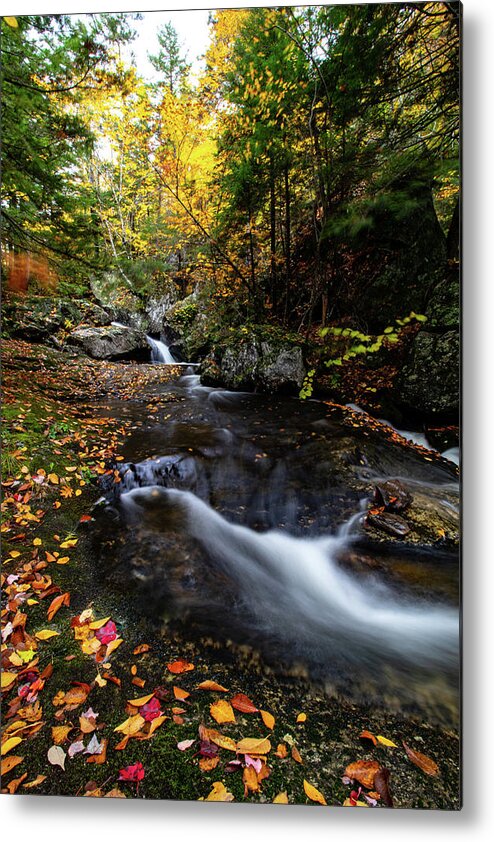 New Hampshire Fall Foliage Metal Print featuring the photograph Fall colors Sandwich New Hampshire #1 by Jeff Folger