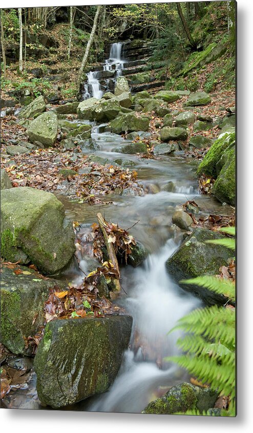 Tranquility Metal Print featuring the photograph Stream Near Vallombrosa #1 by Maremagnum