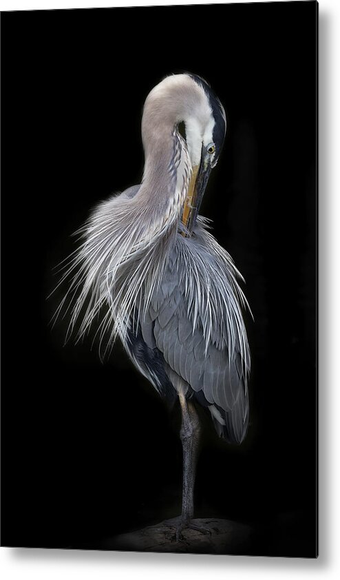 Bird Metal Print featuring the photograph The Elegant Great Blue Heron #1 by Linda D Lester