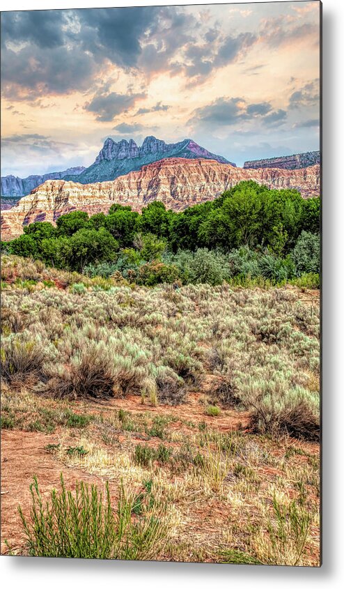 Utah Desert Metal Print featuring the photograph Utah Desert #1 by Tammy Wetzel