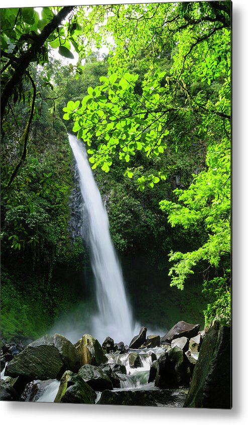 Tropical Rainforest Metal Print featuring the photograph Waterfall In A Tropical Rainforest #1 by Ogphoto