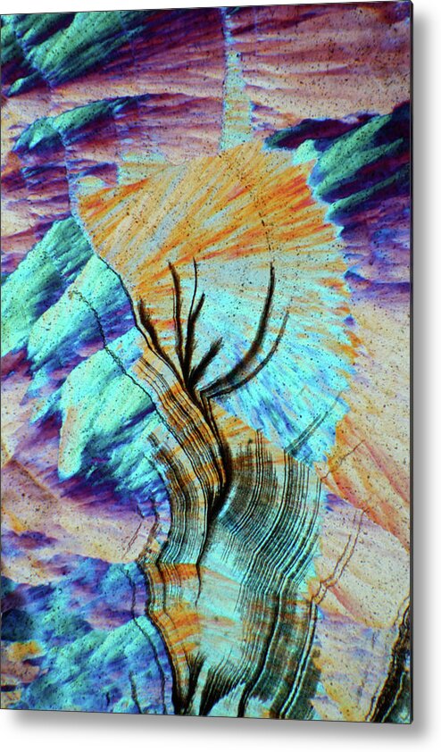Abstract Metal Print featuring the photograph Agate From Brazil, Lm #16 by Bernardo Cesare