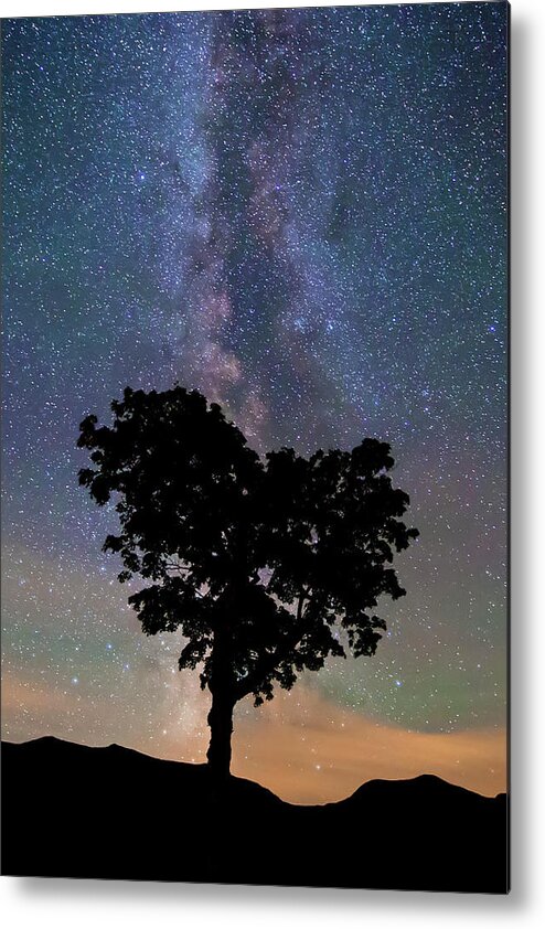 Heart Metal Print featuring the photograph Heart Tree Milky Way #2 by White Mountain Images