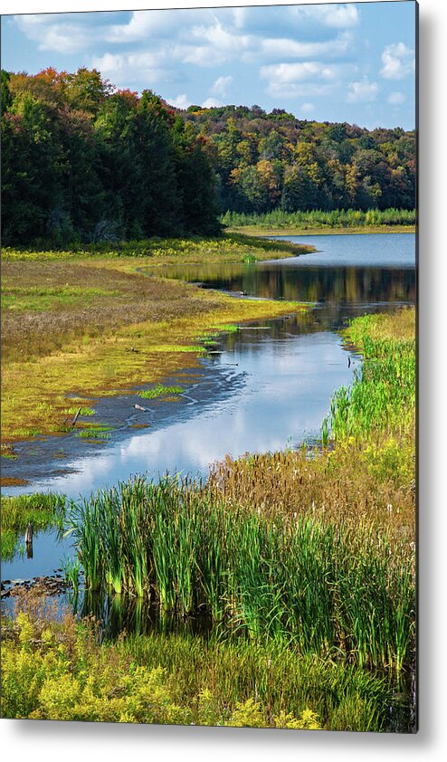 Allegheny Plateau Metal Print featuring the photograph Lower Woods Pond #2 by Michael Gadomski
