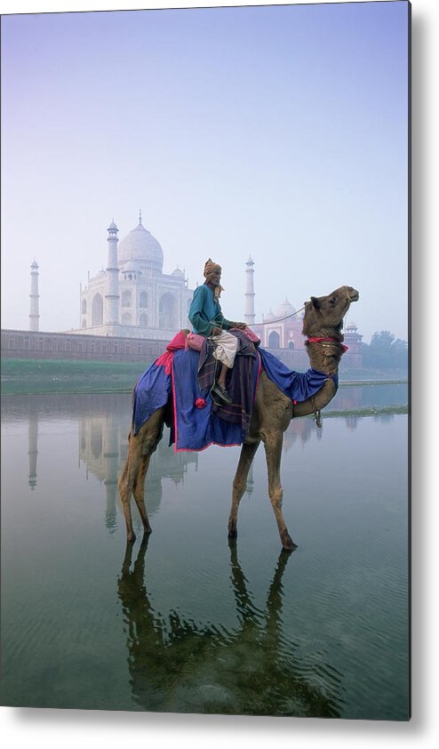 Camel And Rider In Front Of The Taj Mahal And Yamuna (jumna) River Metal Print featuring the photograph 252-10732 by Robert Harding Picture Library