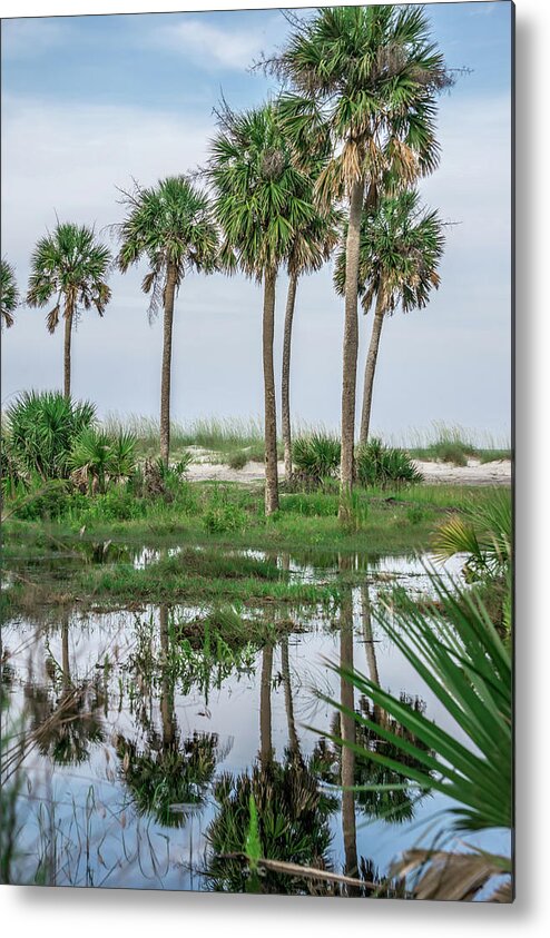 Beach Metal Print featuring the photograph Beach scenes at hunting island south carolina #4 by Alex Grichenko