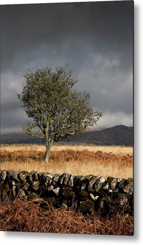 Scenics Metal Print featuring the photograph A Stone Fence And One Tree Under A by Design Pics / John Short