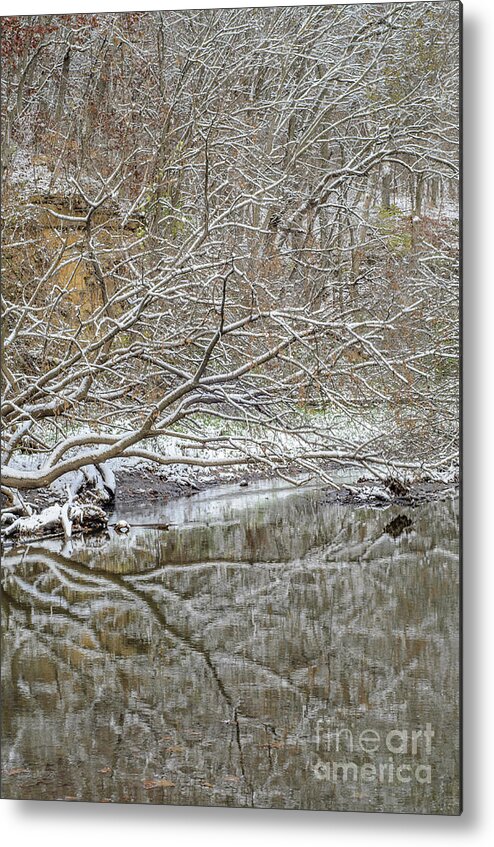 Trees Metal Print featuring the photograph Abstract Snow Covered Trees by Tamara Becker