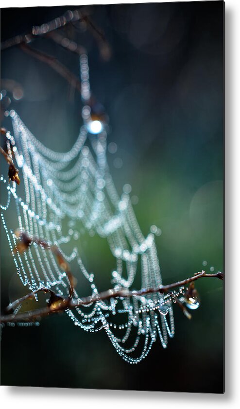 Cobweb Photo Metal Print featuring the photograph After by Michelle Wermuth