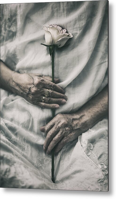 Rose Metal Print featuring the photograph Ageless Beauty by Nima.zadshir