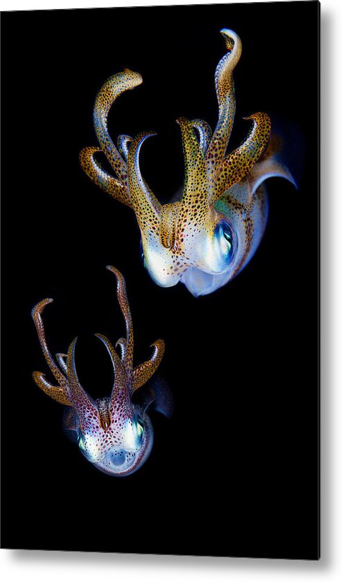 Underwater Metal Print featuring the photograph Aliens by Andrey Narchuk