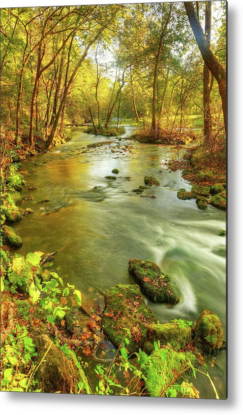 Ozarks Metal Print featuring the photograph Alley Spring Branch by Robert Charity