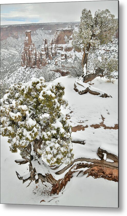 Colorado National Monument Metal Print featuring the photograph Along Rim Rock Drive in Colorado National Monument by Ray Mathis