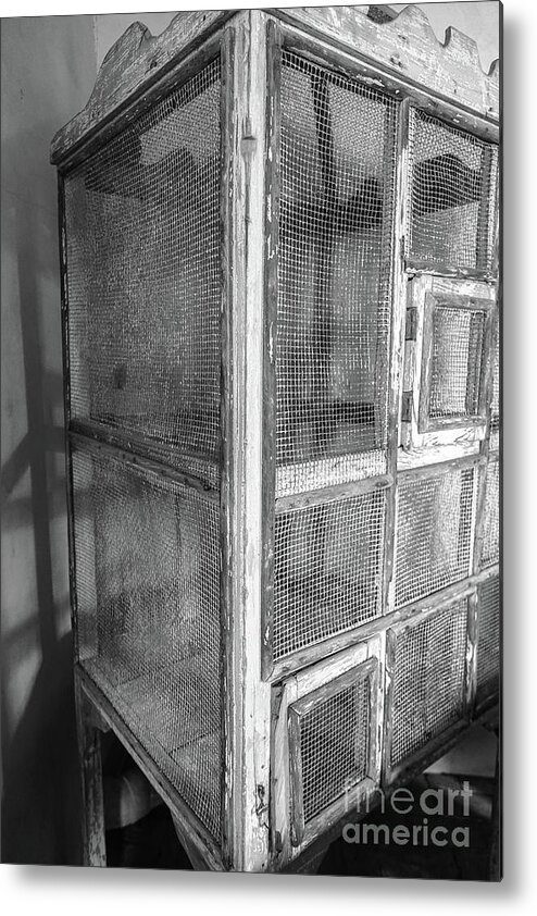 Birdcage Metal Print featuring the photograph Antique Bird Cage by Edward Fielding