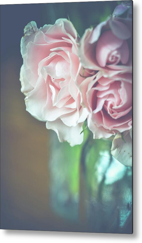 Pink Roses Metal Print featuring the photograph Antique Roses by Michelle Wermuth