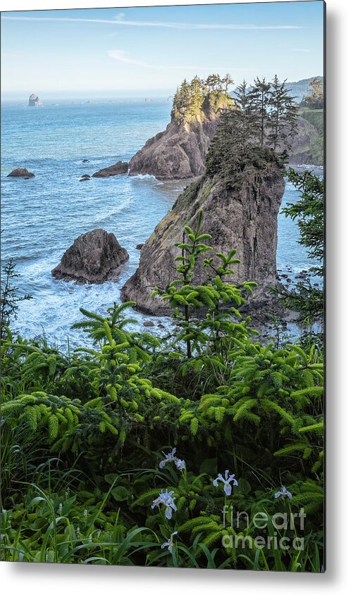 Arch Rock Roadside Viewpoint Metal Print featuring the photograph Arch Rock Sea Stacks by Al Andersen