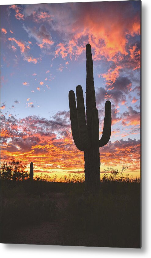 Saguaro Cactus Metal Print featuring the photograph Arizona skies by Chance Kafka