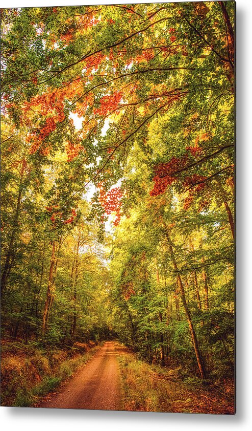 Autumn Metal Print featuring the photograph Autumn Colorful Path by Philippe Sainte-Laudy