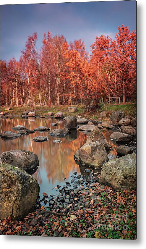 Rock Metal Print featuring the photograph Autumn park landscape by Sophie McAulay