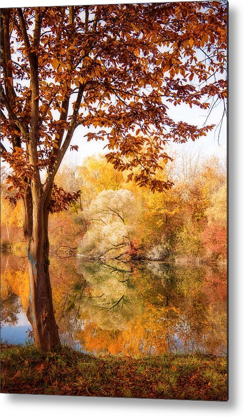 Trees Metal Print featuring the photograph Autumnal Frame by Philippe Sainte-Laudy