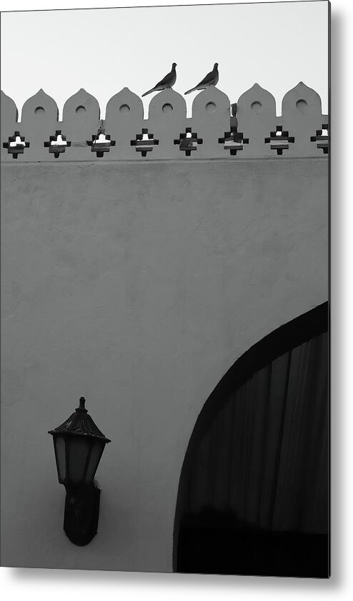 Black And White Metal Print featuring the photograph Birds and Patterned Side Rail Shot 2 by Prakash Ghai