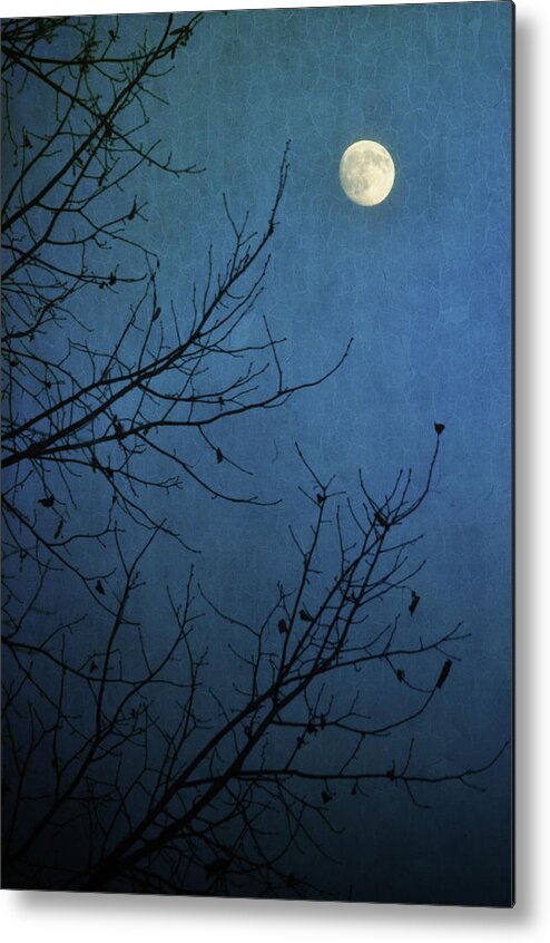 Scenics Metal Print featuring the photograph Blue Moon by Susan Mcdougall Photography