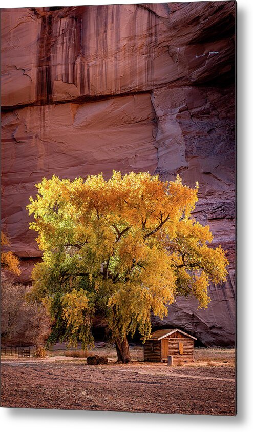 Canyon De Chelly Metal Print featuring the photograph Cabin in the Canyon 1802 by Kenneth Johnson