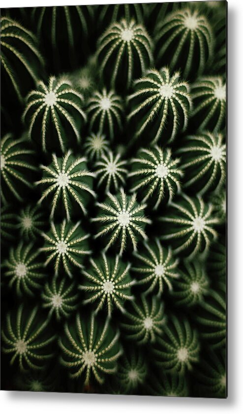 Scenics Metal Print featuring the photograph Cactus by T*tomorrow