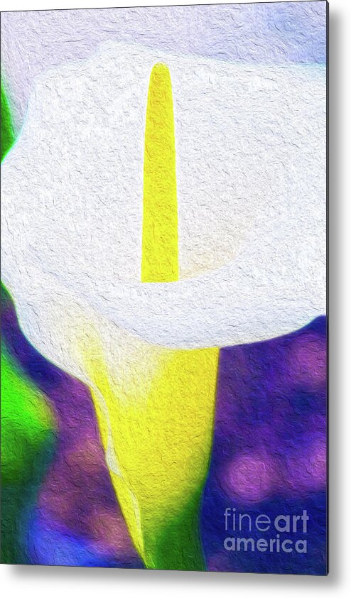 Vibrant Metal Print featuring the digital art Calla Lily Blossom I by Kenneth Montgomery