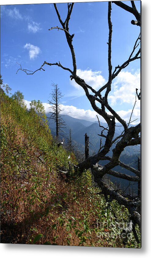 Chimney Tops Metal Print featuring the photograph Chimney Tops 12 by Phil Perkins