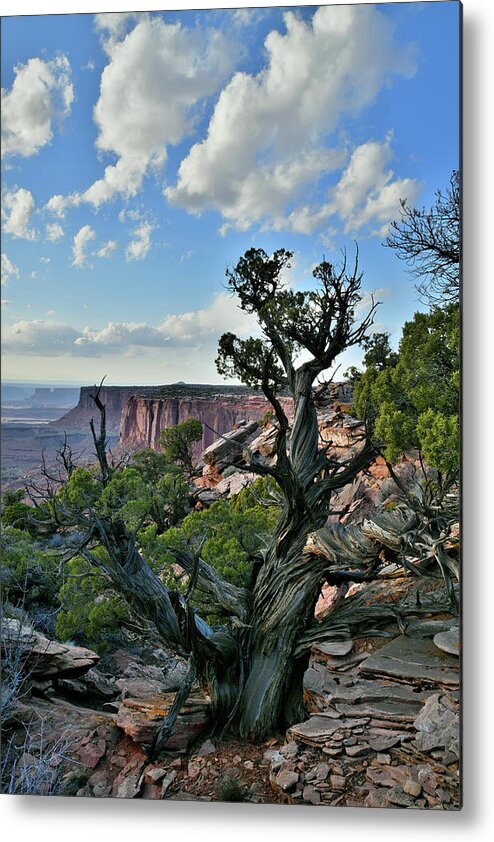 Canyonlands National Park Metal Print featuring the photograph Clouds over Canyonlands National Park by Ray Mathis