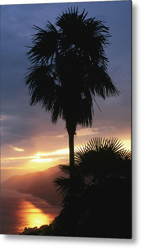 Tranquility Metal Print featuring the photograph Coastal Palms Above Camogli Silhouetted by David C Tomlinson