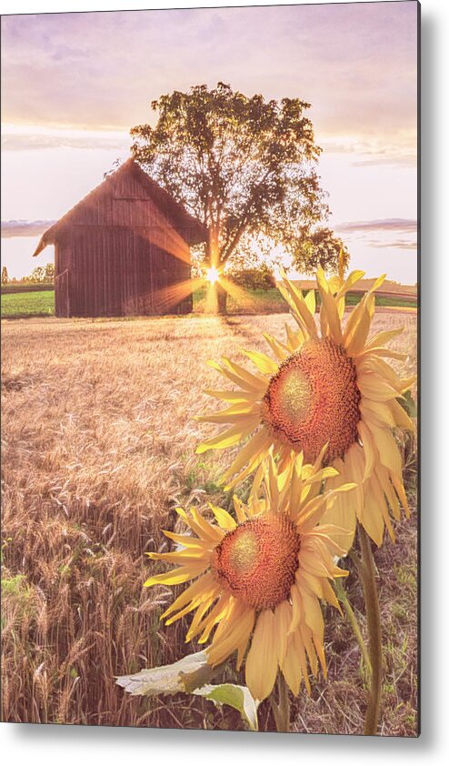 Barns Metal Print featuring the photograph Country Longing by Debra and Dave Vanderlaan