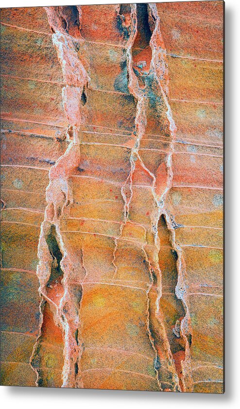 Arizona Metal Print featuring the photograph Coyote Buttes Fins by Wasatch Light