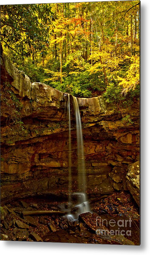 Cucumber Falls Metal Print featuring the photograph Cucumber Falls Autumn Canopy by Adam Jewell