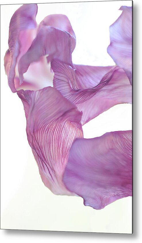 Minimal Metal Print featuring the photograph Dance in the Wind by Michelle Wermuth