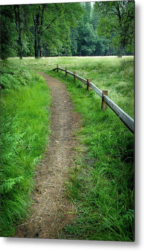 Scenics Metal Print featuring the photograph Dirt Path In Woods by Dny59