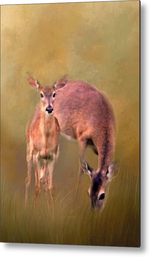 White Tailed Deer Metal Print featuring the photograph Doe Mom And Offspring by HH Photography of Florida