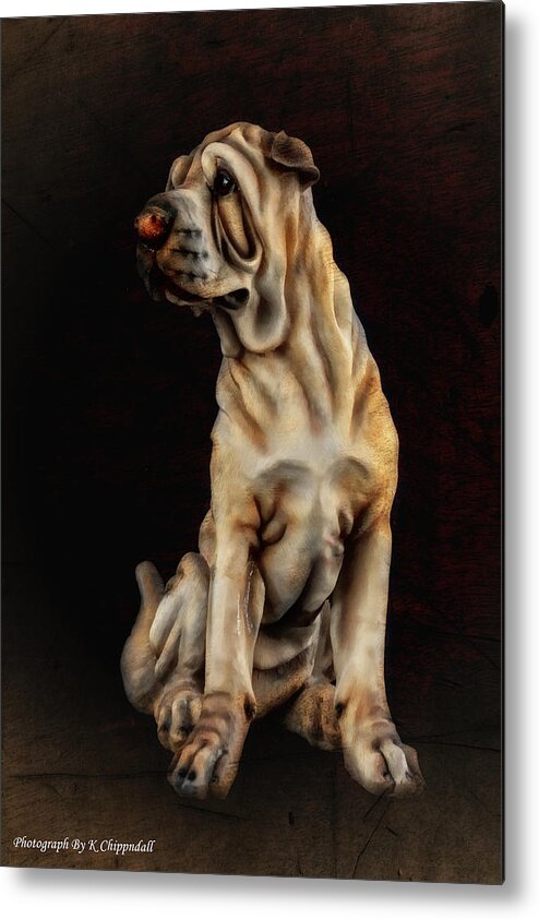Dog Portrait Metal Print featuring the digital art Dog portrait 63 by Kevin Chippindall