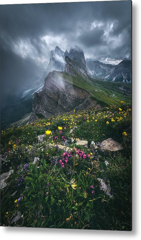 Dolomites Metal Print featuring the photograph Dolomites - Seceda 2500 by Jean Claude Castor