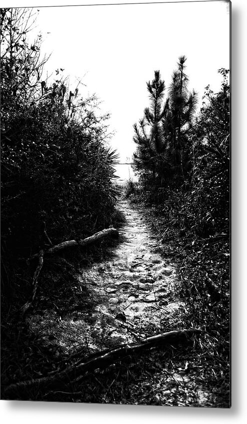 Trail Metal Print featuring the photograph Down the Trail by Maggy Marsh