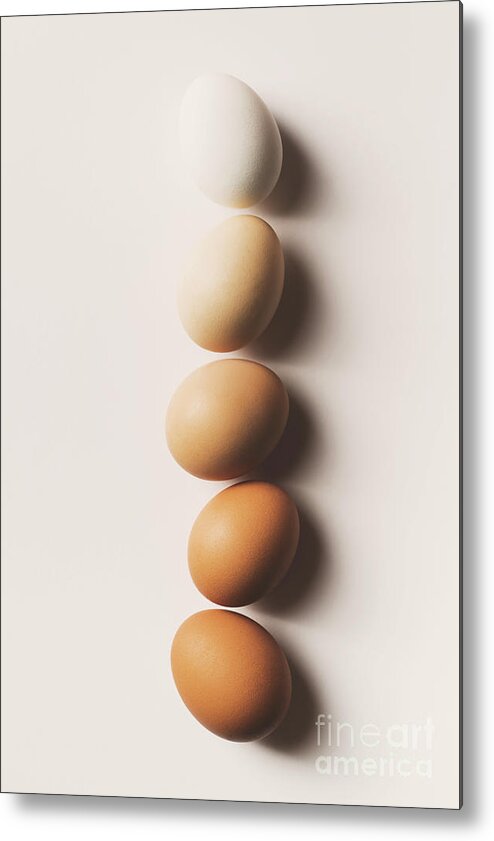 Free Range Metal Print featuring the photograph Eggs In A Row by Tarik Kizilkaya