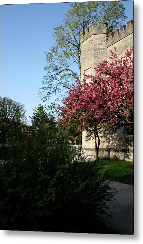 Eiu Spring Old Main Metal Print featuring the photograph EIU Spring Old Main by Dylan Punke