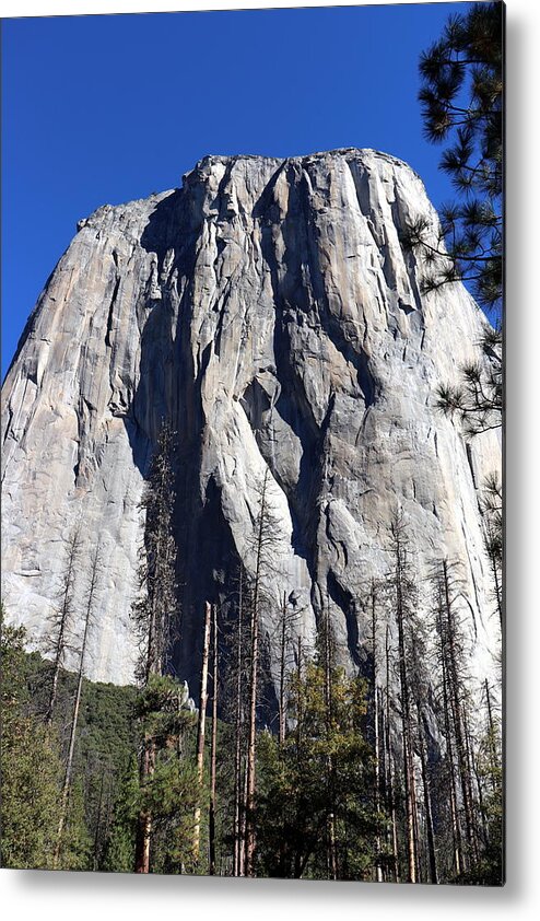 El Capitan Metal Print featuring the photograph El Capitan Photograph by Kimberly Walker