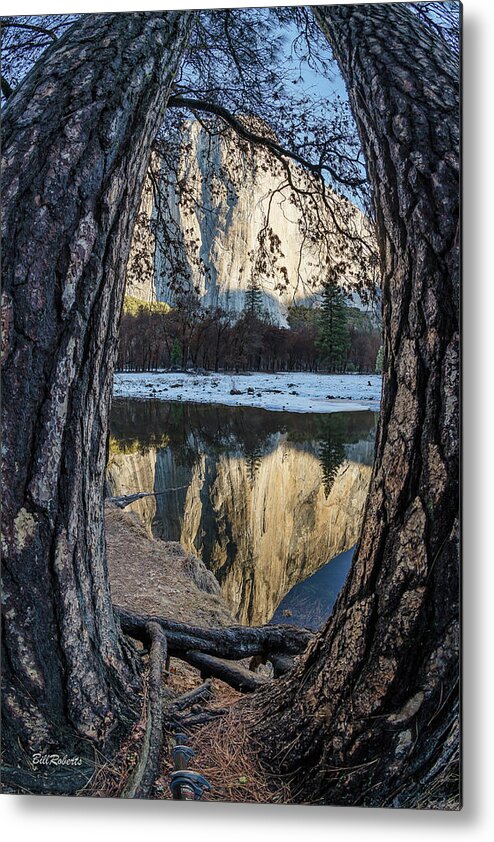 California Landscape Metal Print featuring the photograph El Capitan Through the Trees by Bill Roberts