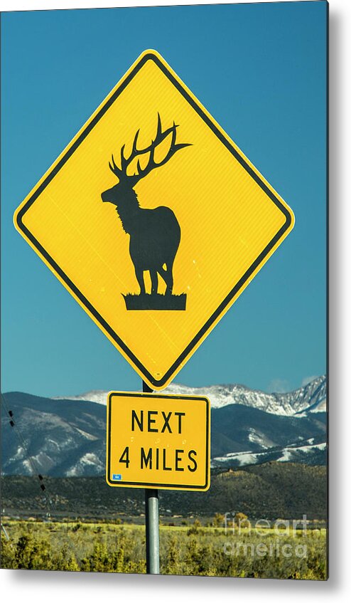 Elk Metal Print featuring the photograph Elk Warning Sign by Tim Mulina