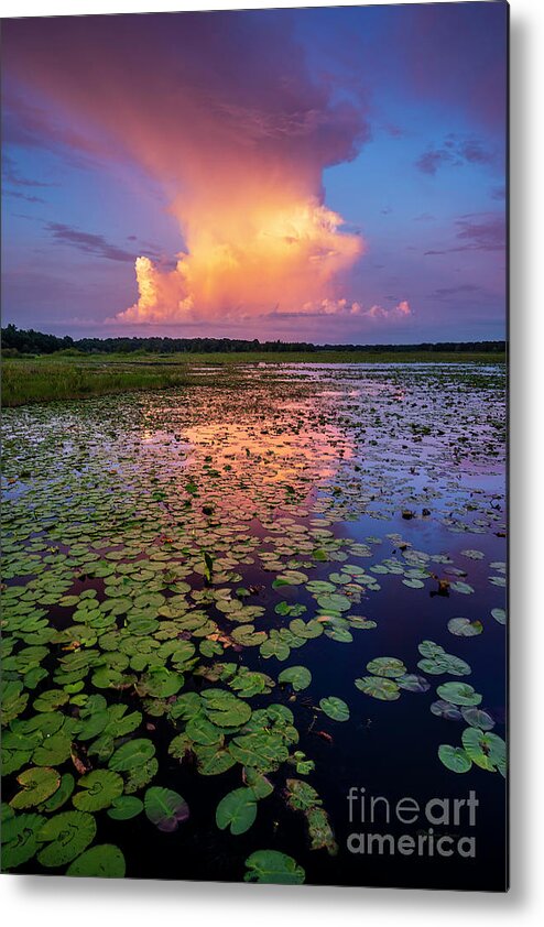 Water Metal Print featuring the photograph Evening Shower by Marvin Spates