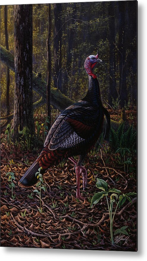 Turkey In The Forest Metal Print featuring the painting Ever Alert - Wild Turkey by Wilhelm Goebel