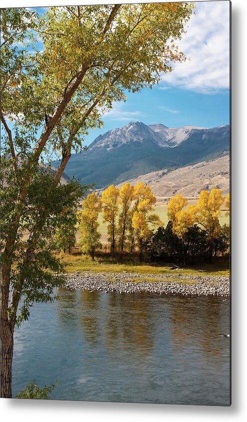 Scenics Metal Print featuring the photograph Fall Colors By Stream And Mountains by Mark Miller Photos