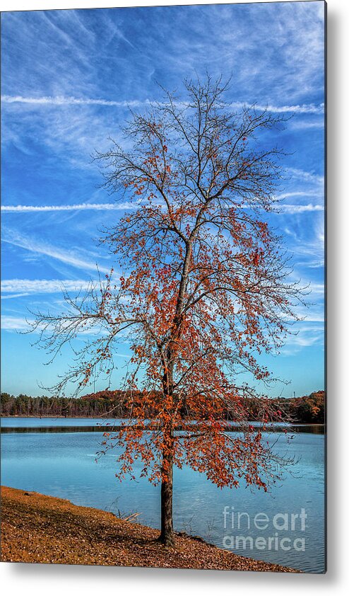 Sweetwater-creek Metal Print featuring the photograph Fall in Sweetwater Creek by Bernd Laeschke
